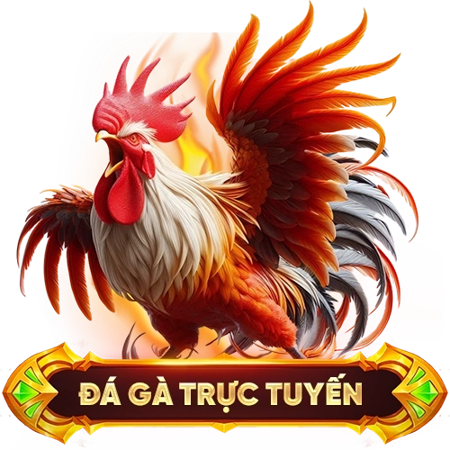 đá gà trực tuyến WW88